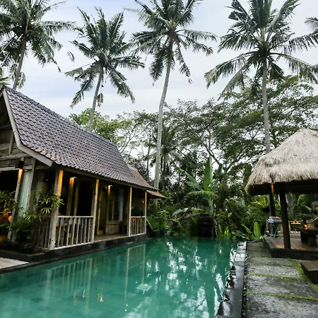 Ubud Virgin Villa-2